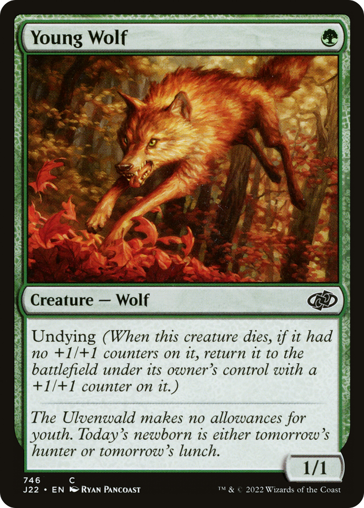 Young Wolf (J22-746) -