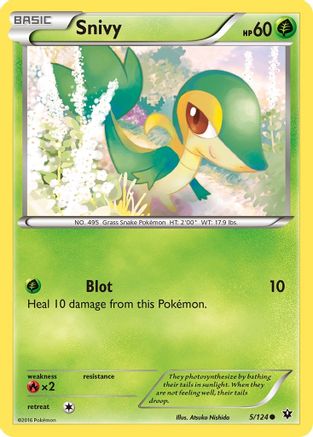 Snivy 5/124 - Reverse Holofoil