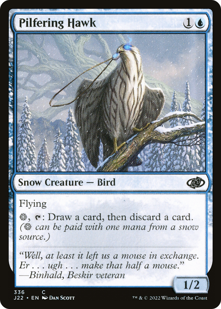 Pilfering Hawk (J22-336) - : (snow)