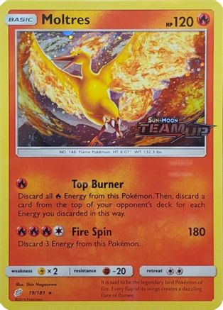 Moltres - 19/181 (Team Up Stamped) 19 - Holofoil