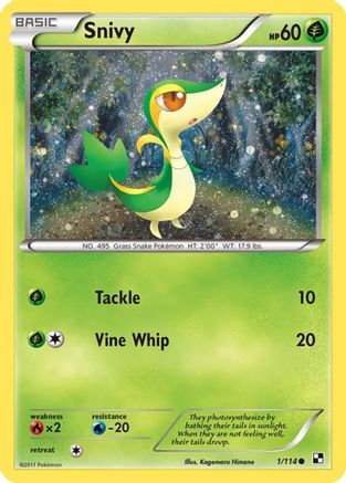 Snivy - 1/114 (Cosmos Holo) 1 - Holofoil