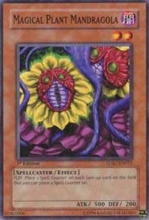 Magical Plant Mandragola (SDSC-EN012) - Structure Deck: Spellcaster's Command Unlimited