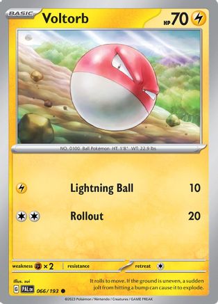 Voltorb 66 -