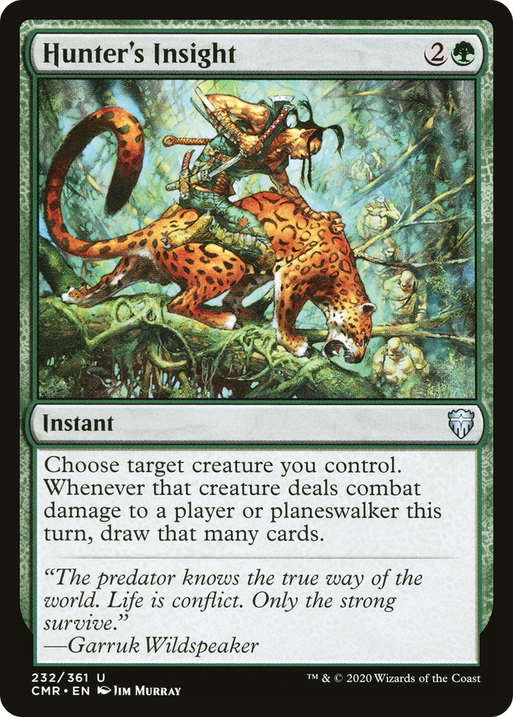 Hunter's Insight (CMR-232) -  Foil