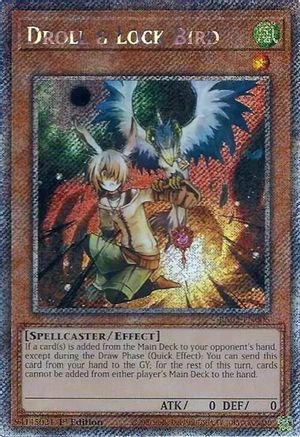 Droll & Lock Bird (Platinum Secret Rare) (RA02-EN006) - 25th Anniversary Rarity Collection II 1st Edition