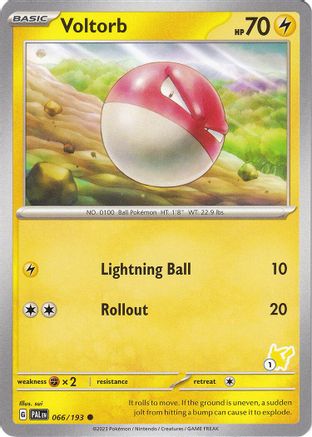 Voltorb - Pikachu 1 66 -