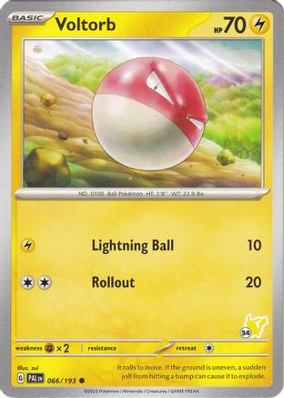 Voltorb - Pikachu 34 66 -