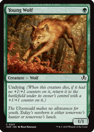 Young Wolf (INR-227) -  Foil