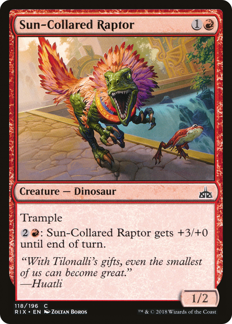 Sun-Collared Raptor (RIX-118) -