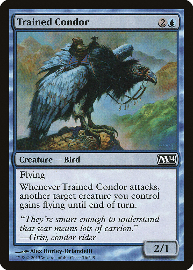 Trained Condor (M14-076) -