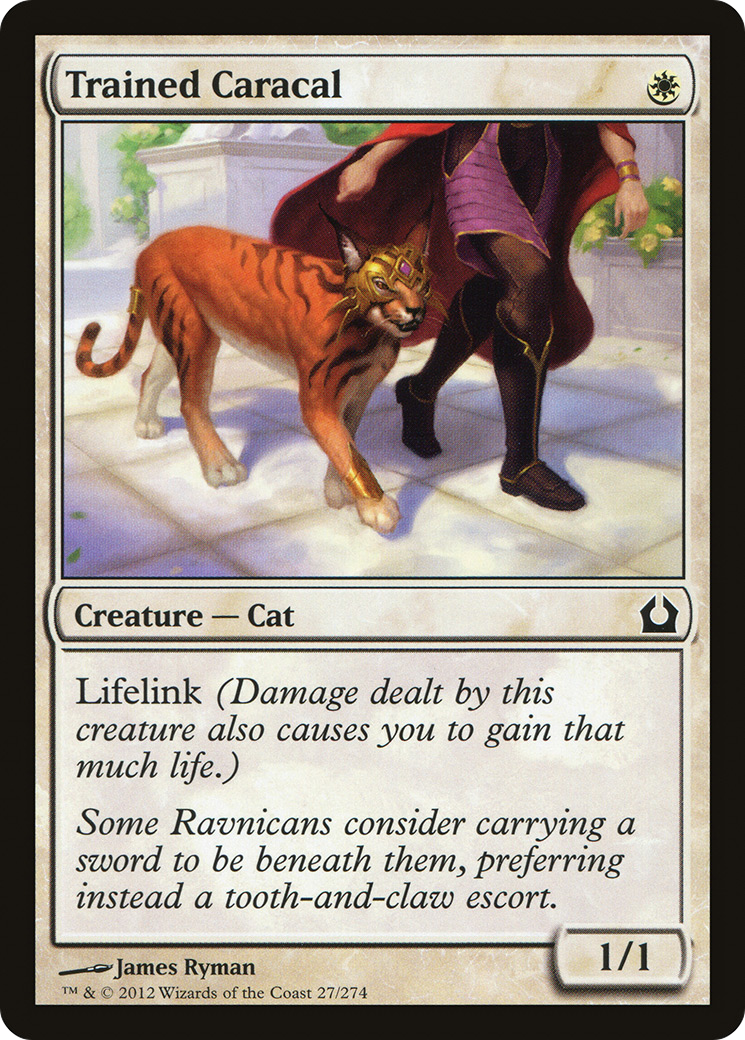 Trained Caracal (RTR-027) -  Foil