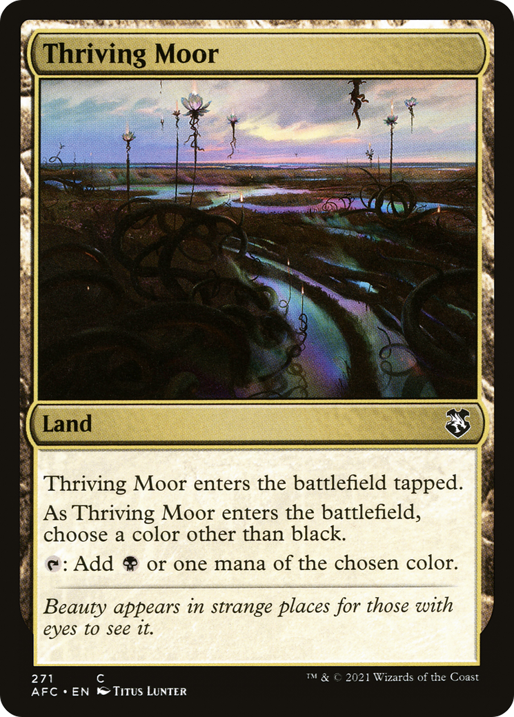 Thriving Moor (AFC-271) -