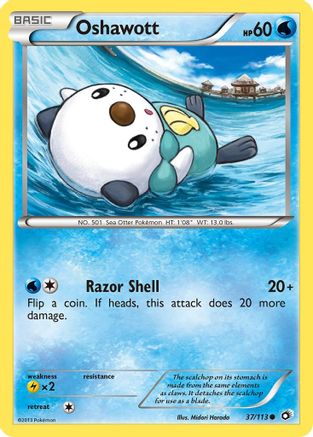 Oshawott 37/113 -