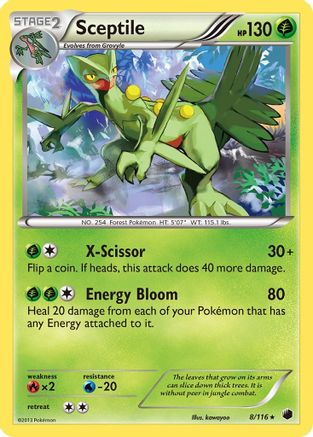 Sceptile 8/116 - Reverse Holofoil