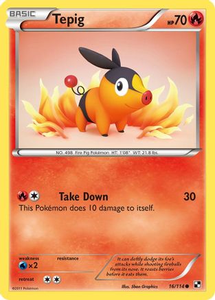 Tepig (16) 16/114 - Reverse Holofoil