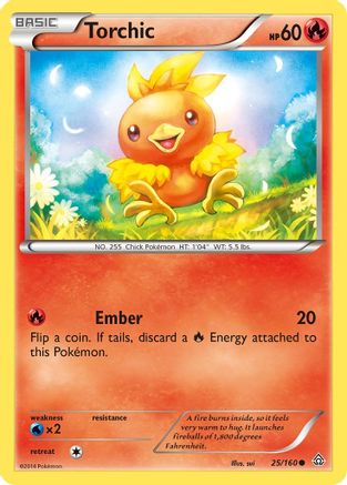 Torchic 25/160 -