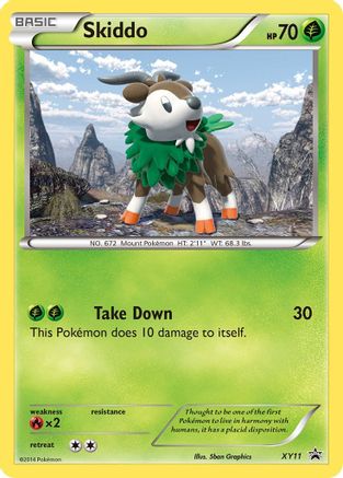 Skiddo - XY11 XY11/211 - Holofoil