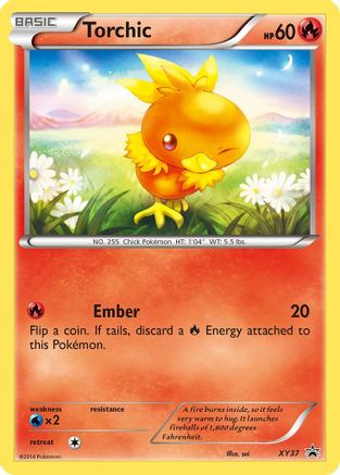 Torchic - XY37 XY37/211 - Holofoil