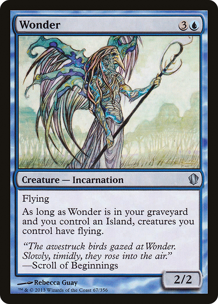 Wonder (C13-067) -