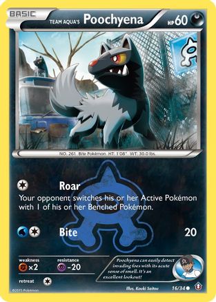 Team Aqua's Poochyena 16/34 - Reverse Holofoil