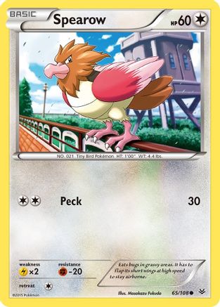 Spearow 65/108 - Reverse Holofoil