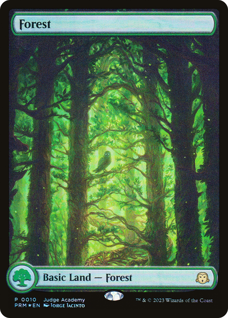 Forest (JDG-010) - : (Full Art) Foil