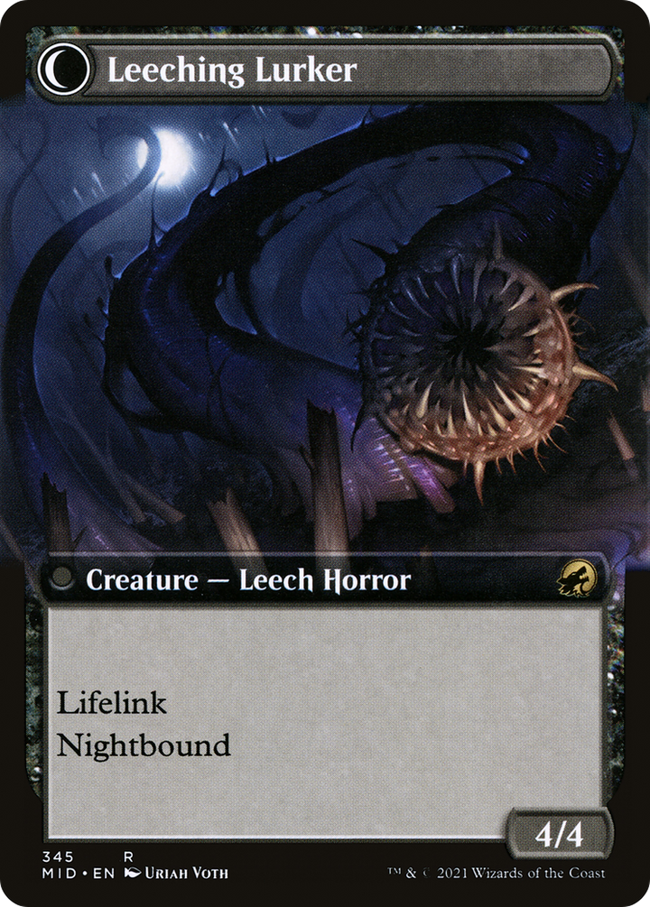 Curse of Leeches // Leeching Lurker (MID-345) - : (Extended Art, Double Faced Transform)